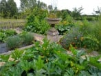 Garden Garden